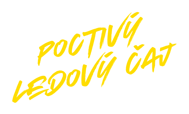Poctiví ledový čaj